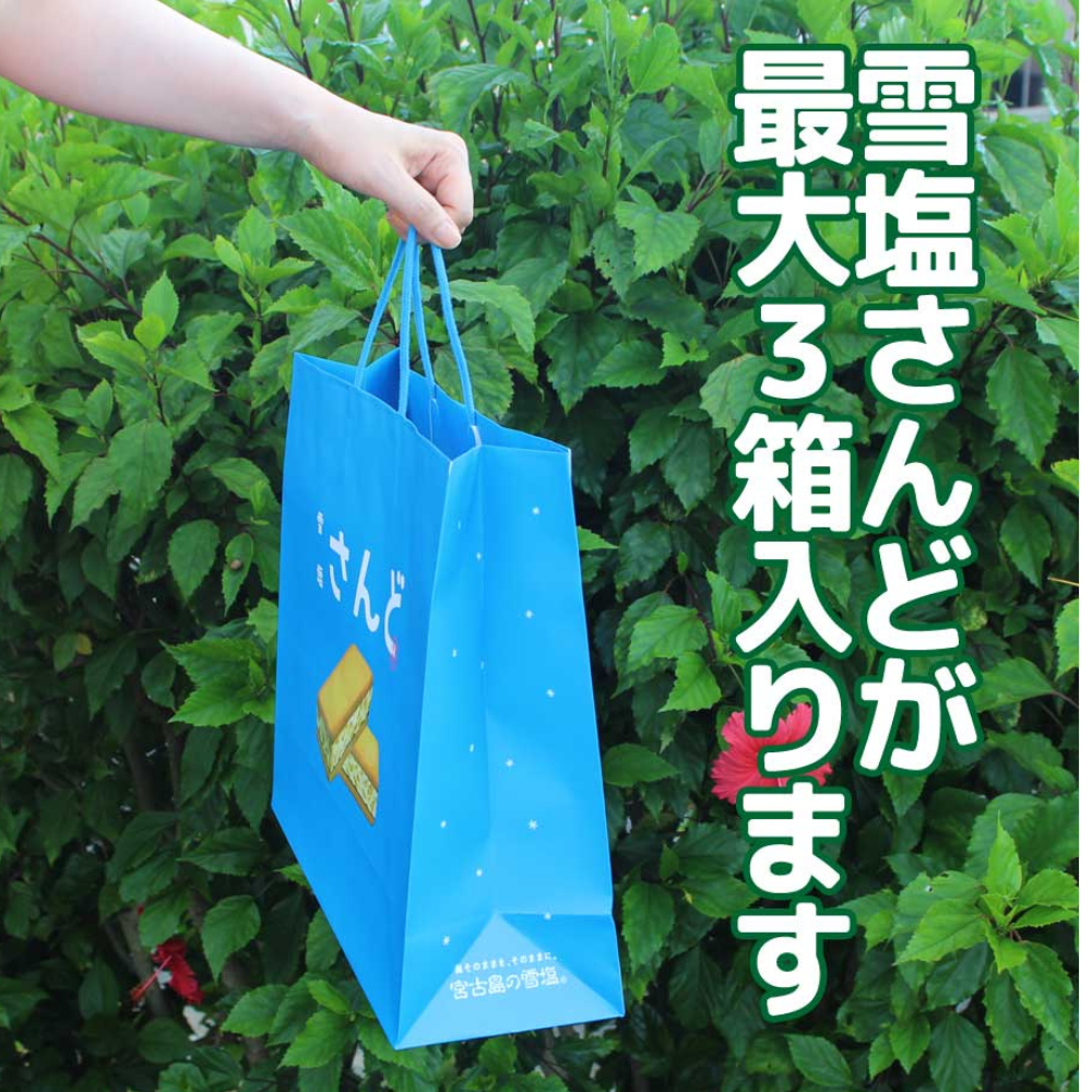 手提げ袋 雪塩さんど